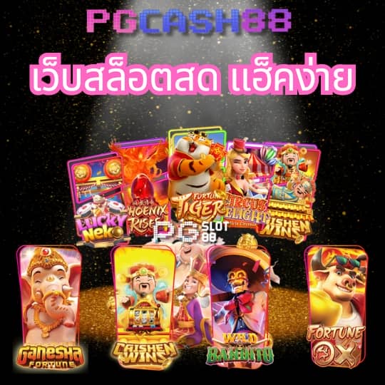 19 รับ 100 wallet